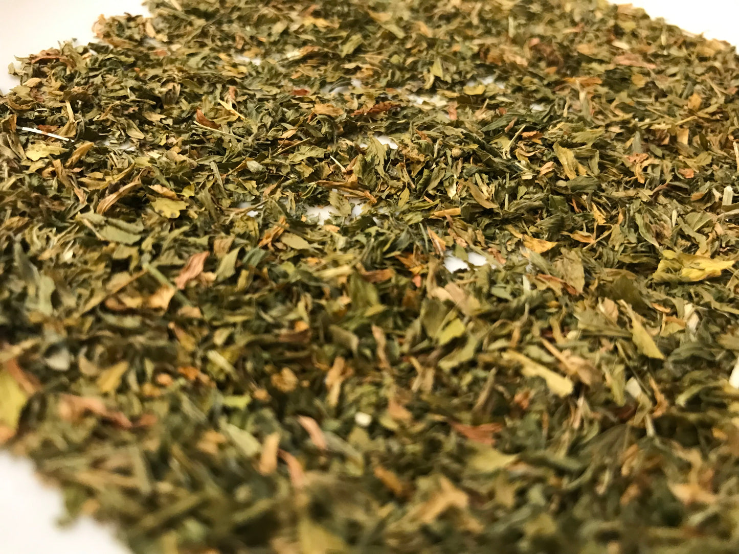 Alfalfa Leaf