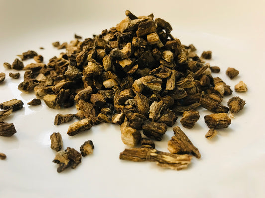 Burdock Root
