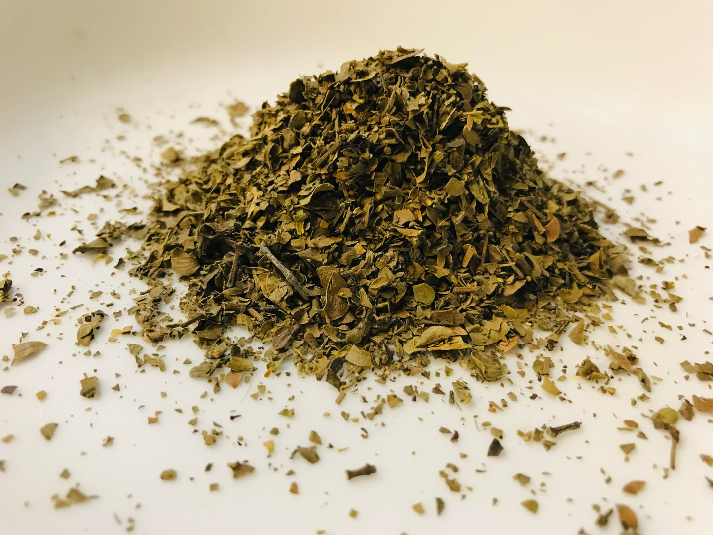 Chaparral Leaf