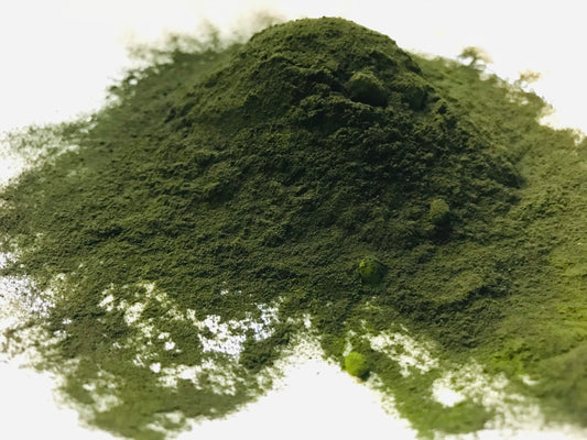 Chlorella