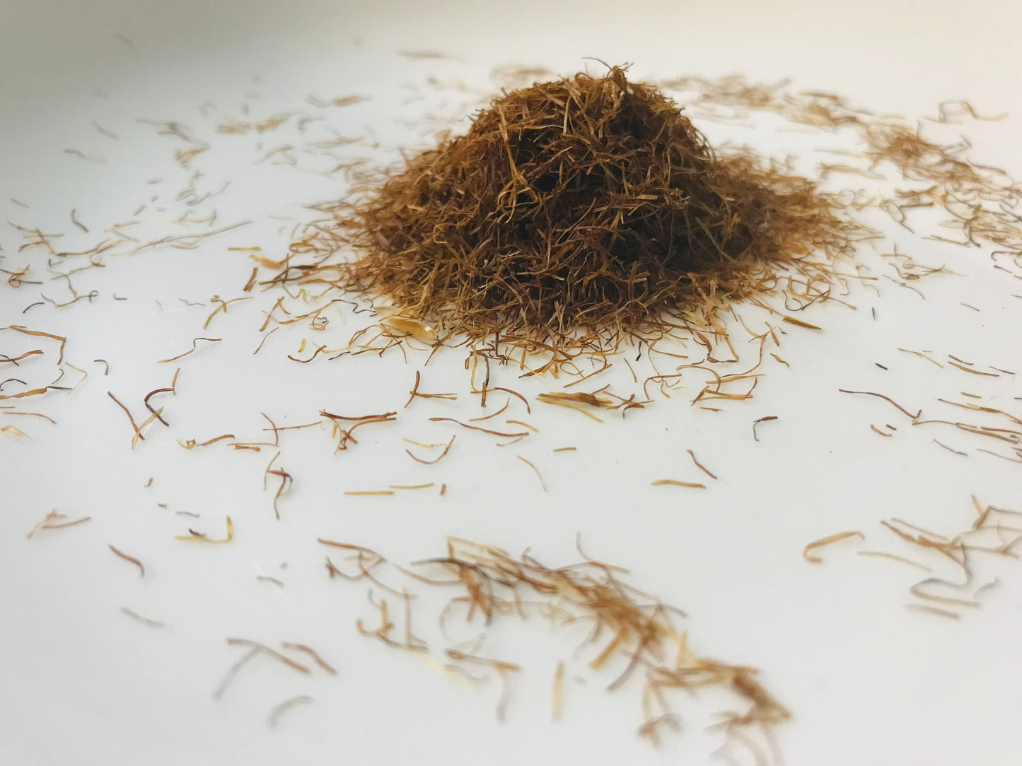 Cornsilk