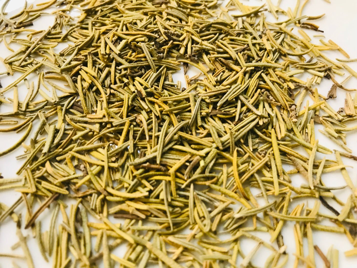 Rosemary Leaf