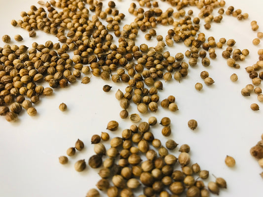 Coriander Seeds