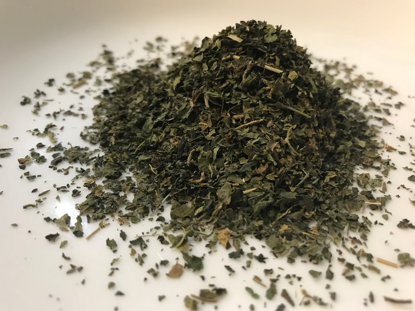 Stinging Nettle Leaf