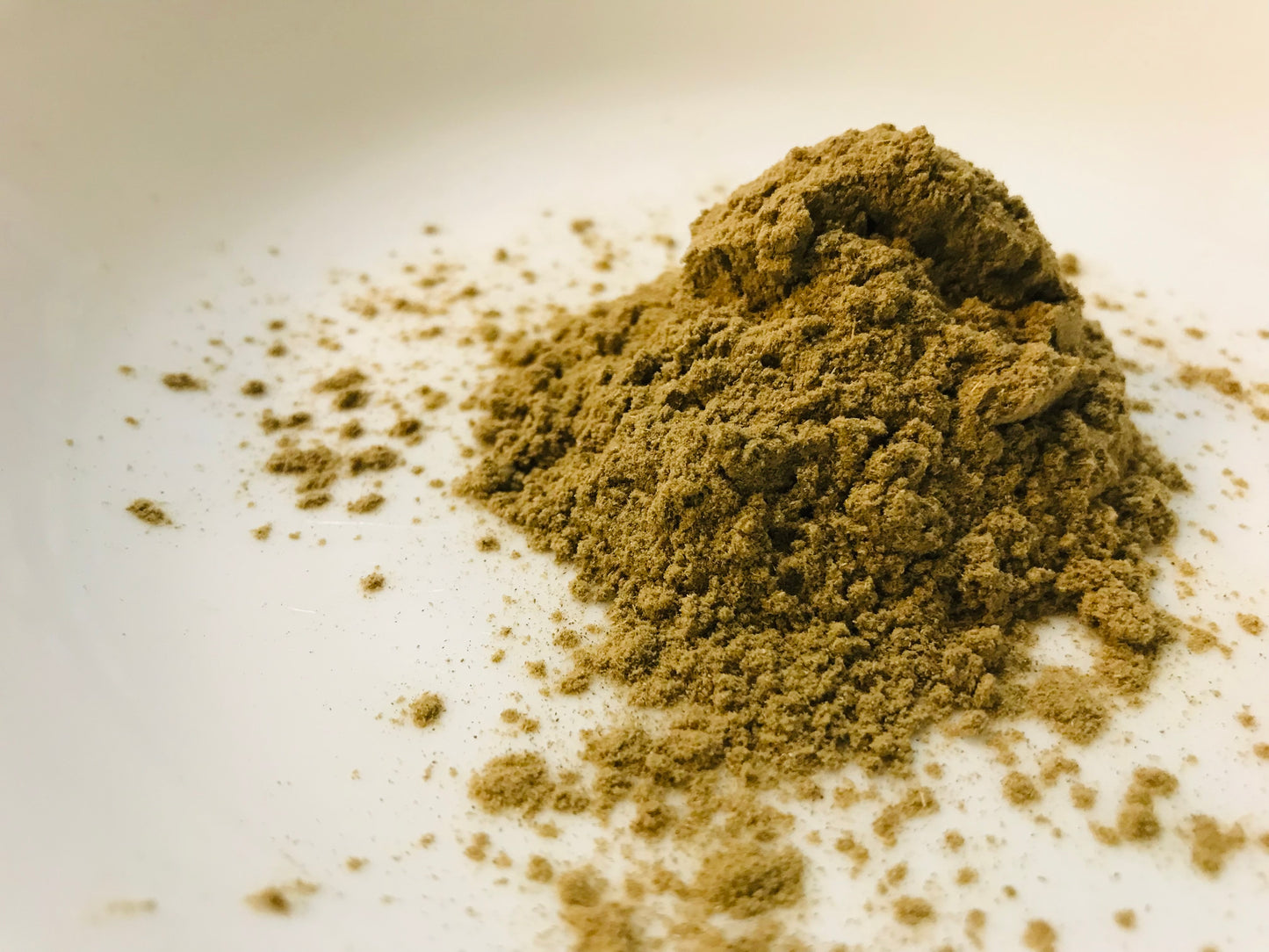 Wormwood Powder