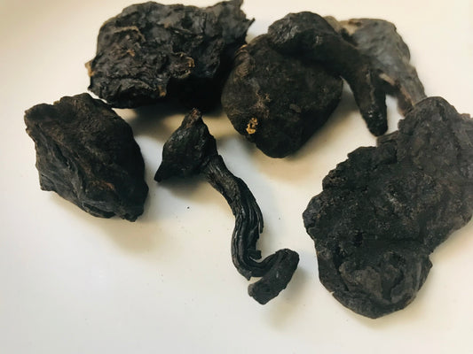 Fo-Ti (He Shou-Wu, Cured Slices)