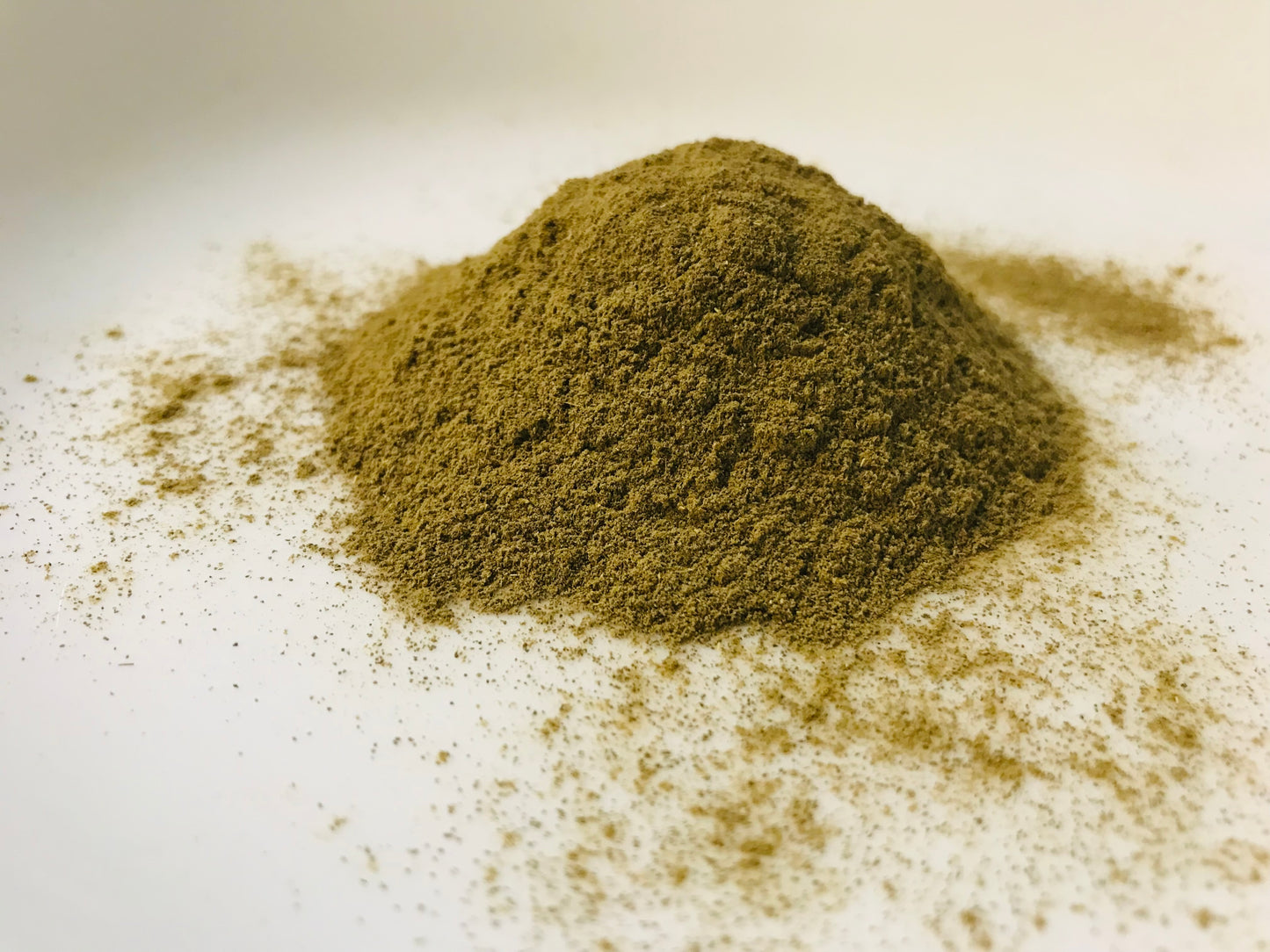 Chaparral Leaf Powder