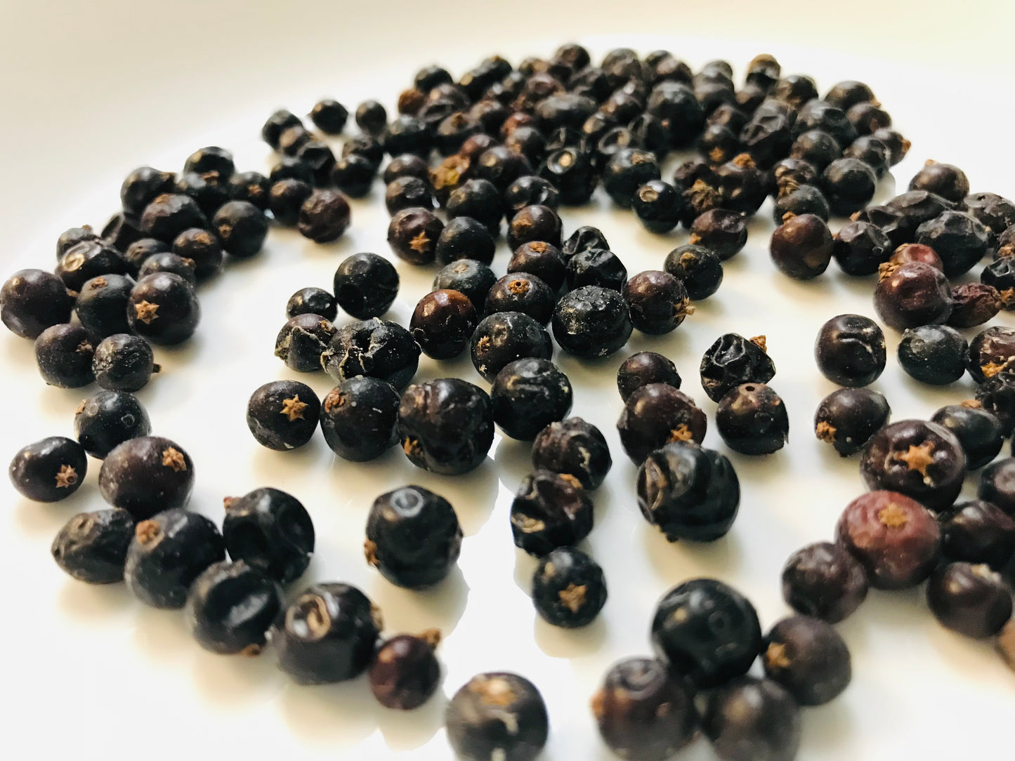 Juniper Berries