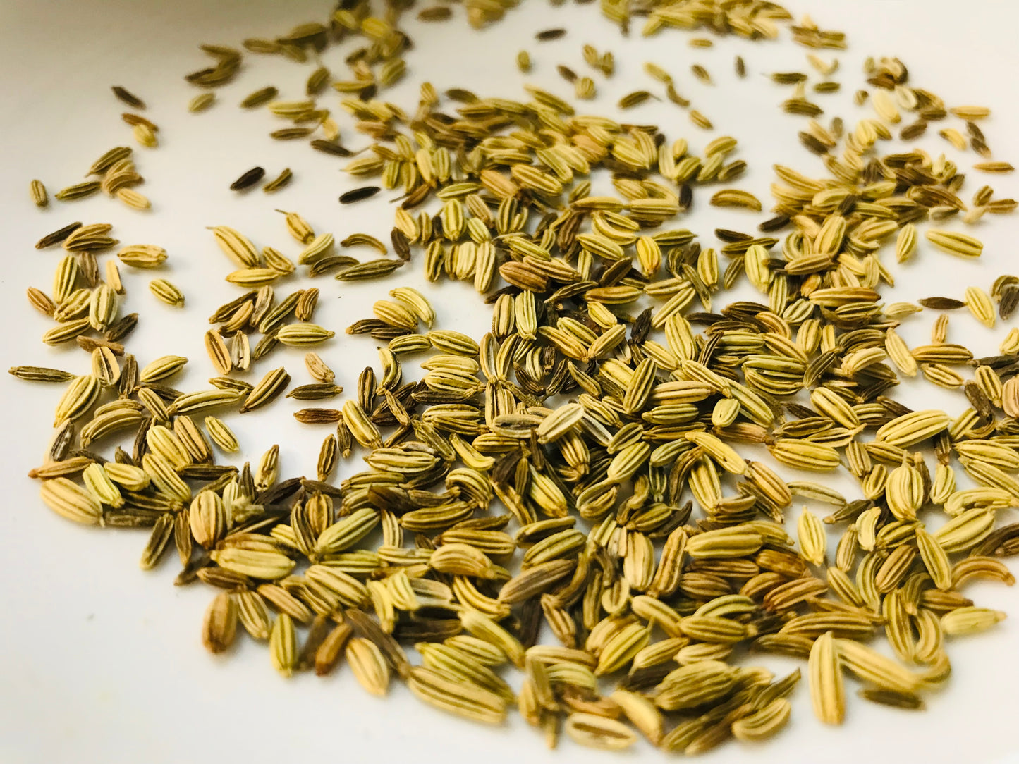 Fennel Seeds