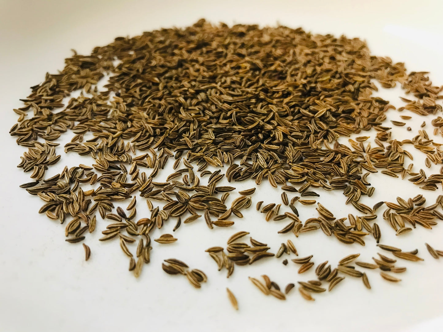 Caraway Seeds